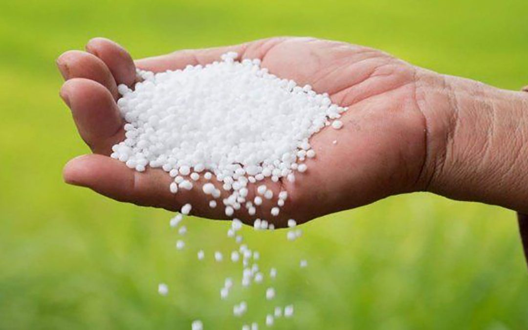 Se busca Adquirir 44 mil toneladas de urea para garantizar actividad agropecuaria del país