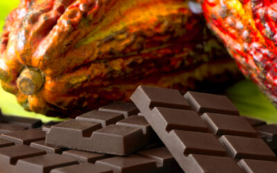 Perú gana 67 medallas en París y se consagra como potencia del chocolate de origen
