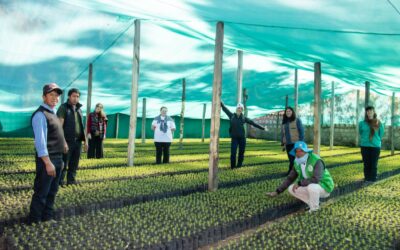 Vinchos fortalece su vivero con apoyo internacional desde Quebec