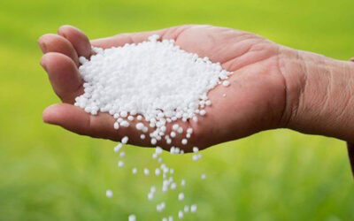 Se busca Adquirir 44 mil toneladas de urea para garantizar actividad agropecuaria del país