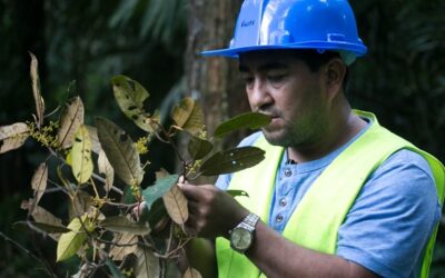Ministro Tenorio: Trabajo articulado contribuirá al manejo forestal sostenible