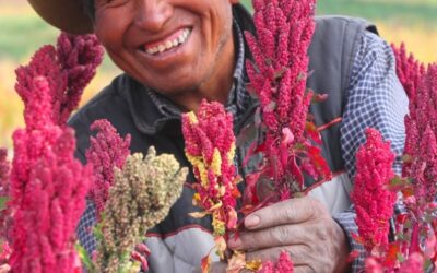 Ministro Tenorio: “Agricultura Familiar es eje y base de todo sistema agroalimentario”